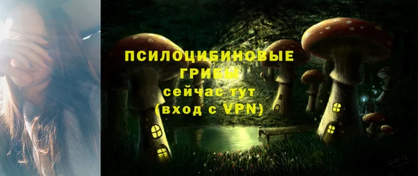 a pvp Абинск