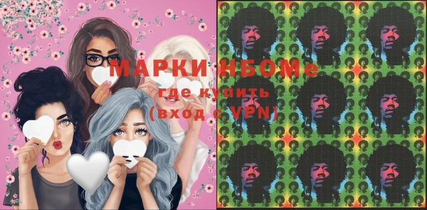 хмурый Алексин